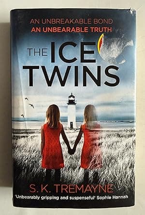 THE ICE TWINS
