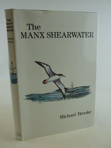 THE MANX SHEARWATER