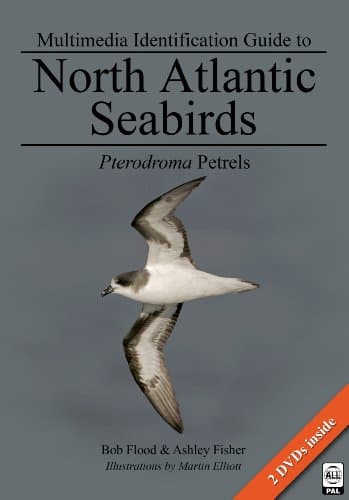 Multimedia Identification Guide To NORTH AMERICAN SEABIRDS. Pterodroma Petrels. With 2 DVDs